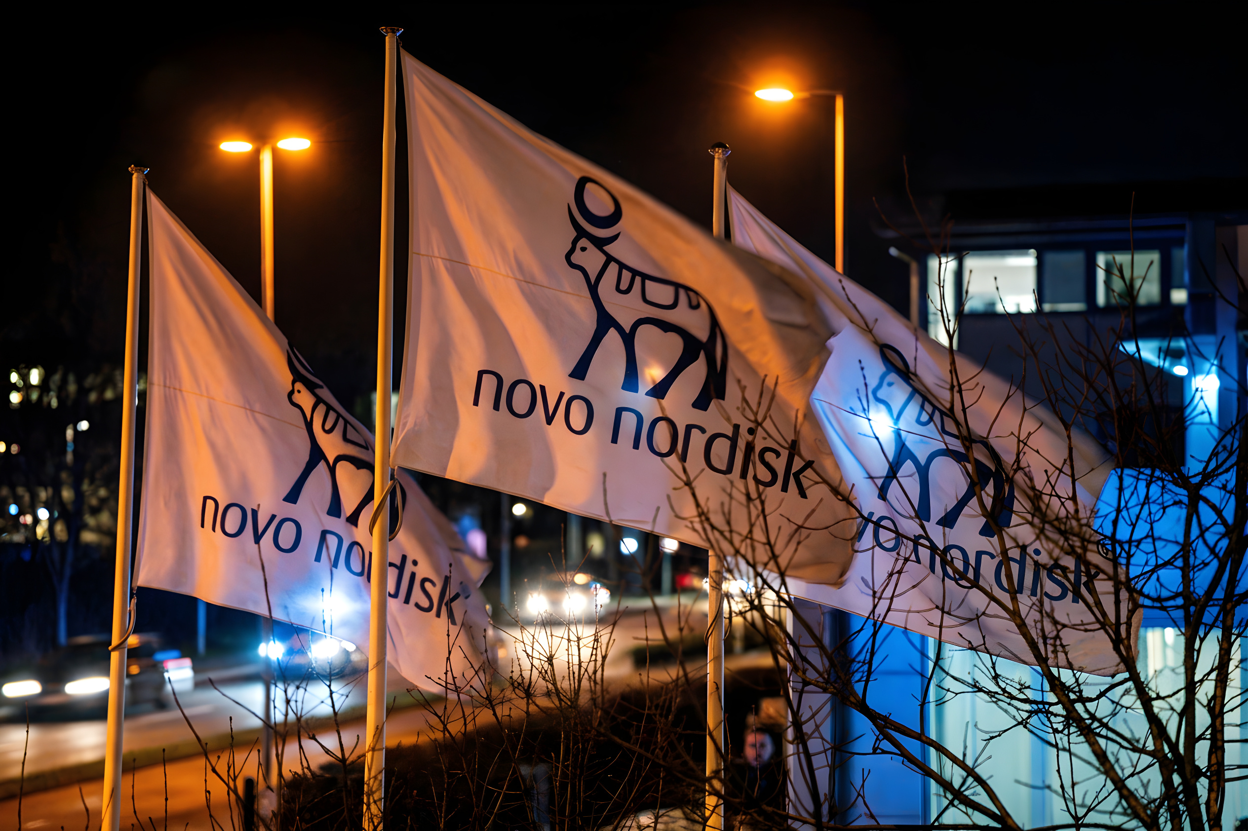 Det bør du gøre med dine Novo-aktier nu